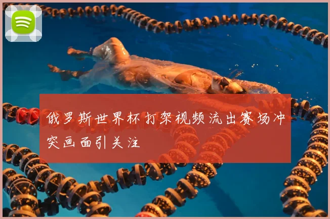 俄罗斯世界杯打架视频流出赛场冲突画面引关注