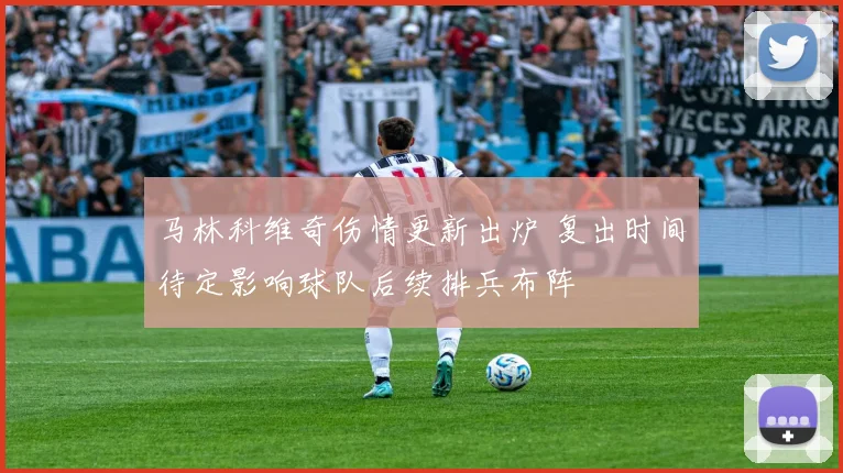 马林科维奇伤情更新出炉 复出时间待定影响球队后续排兵布阵