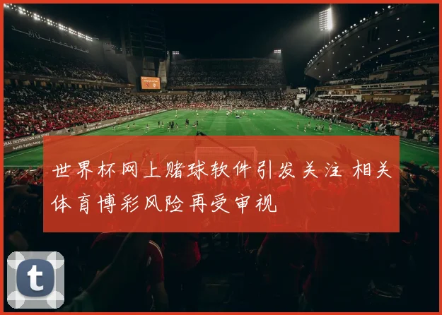 世界杯网上赌球软件引发关注 相关体育博彩风险再受审视