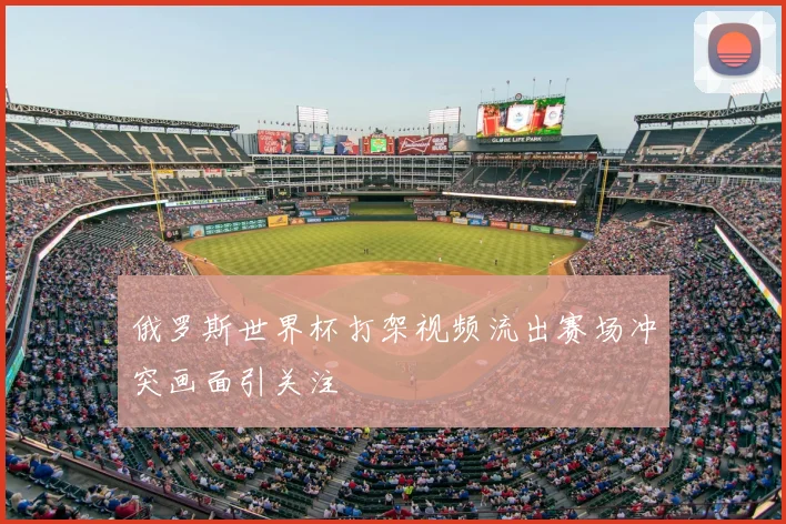 俄罗斯世界杯打架视频流出赛场冲突画面引关注