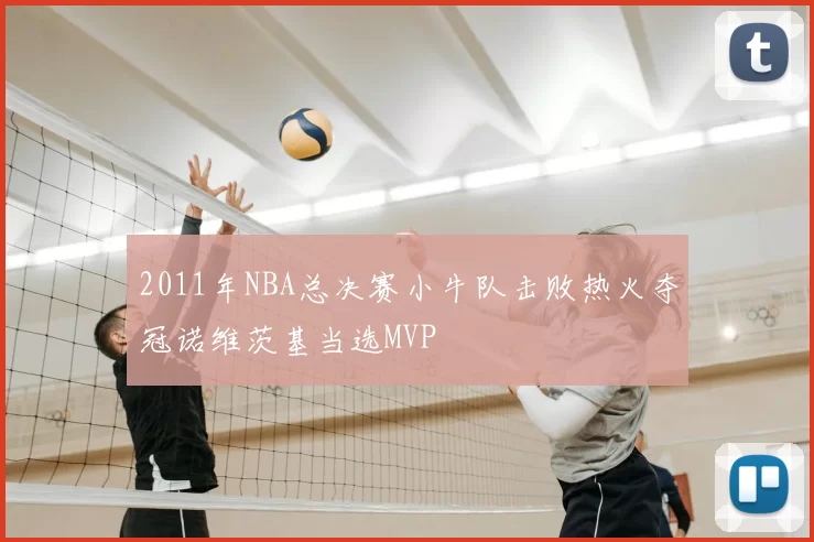 2011年NBA总决赛小牛队击败热火夺冠诺维茨基当选MVP