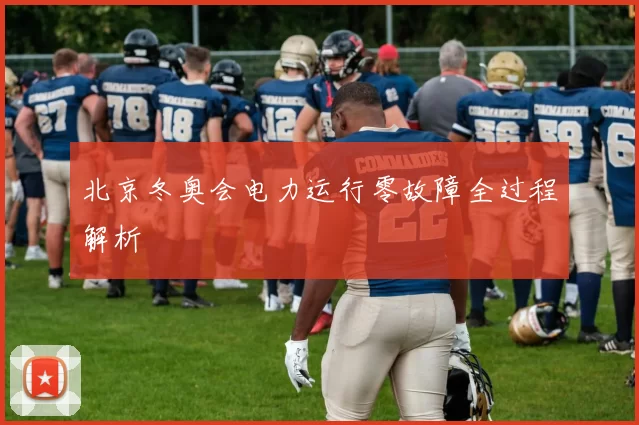 北京冬奥会电力运行零故障全过程解析